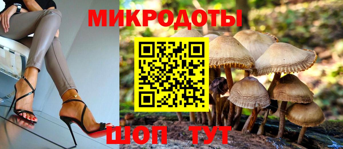 как найти закладки  Вход с VPN  Галлюциногенные грибы ЛСД  Нижний Новгород  Галлюциногенные грибы Psilocybine cubensis 